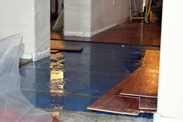 Professional Basement Flood Cleanup technician working in Kingsville, TX